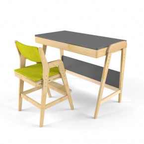 Комплект растущий стол и стул с чехлом 38 попугаев «Вуди» (Серый, Без покрытия, Грин) в Салехарде - salehard.mebel-74.com | фото