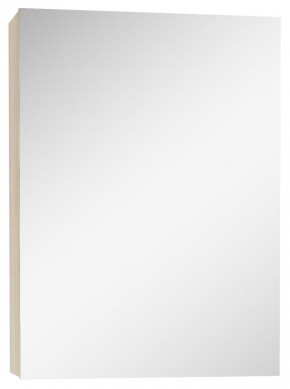 Шкаф-зеркало Мечта 40 Дуб сонома АЙСБЕРГ (DM2317HZ) в Салехарде - salehard.mebel-74.com | фото