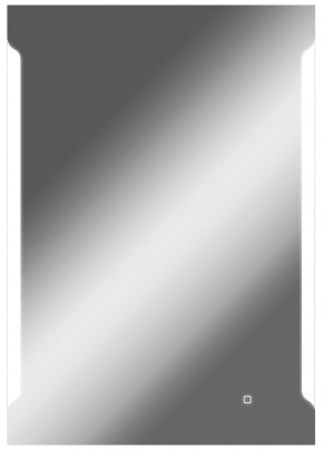 Зеркало Оттава 1000х700 с подсветкой Домино (GL7028Z) в Салехарде - salehard.mebel-74.com | фото